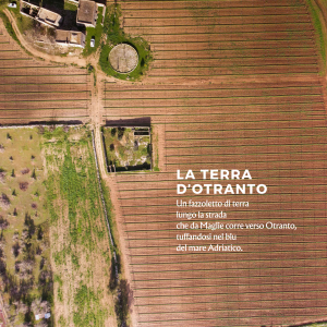 Menhir wine experience