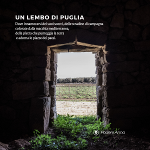 Menhir wine experience