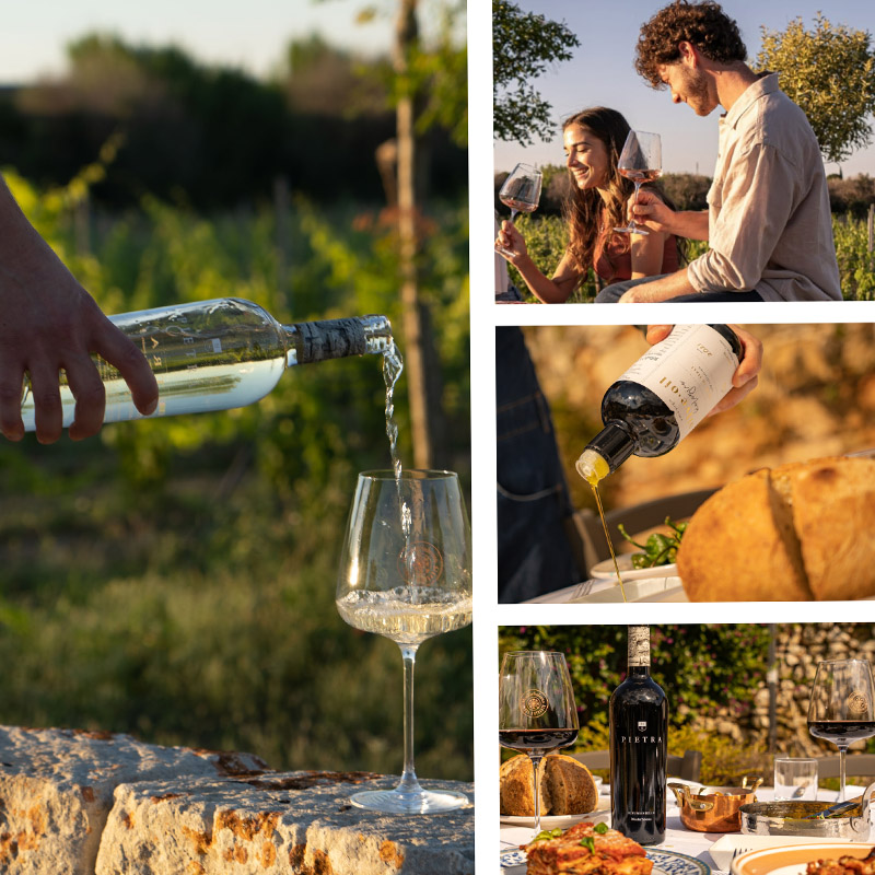 menhir salento wine experience_0000_8