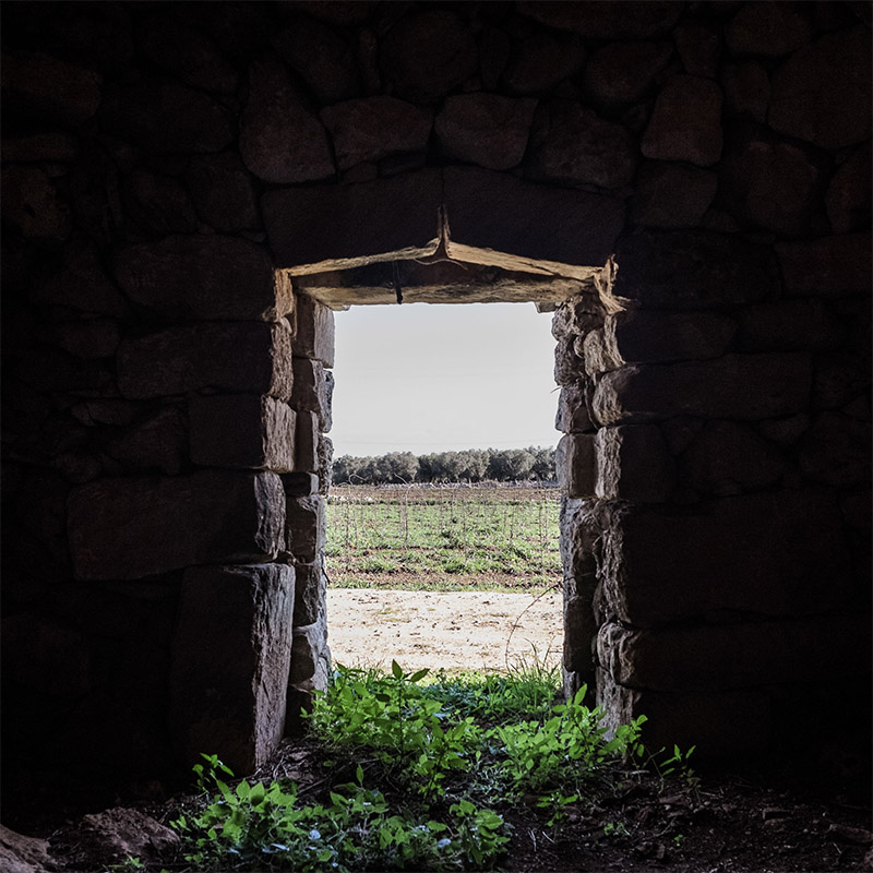 menhir salento wine experience_0005_3