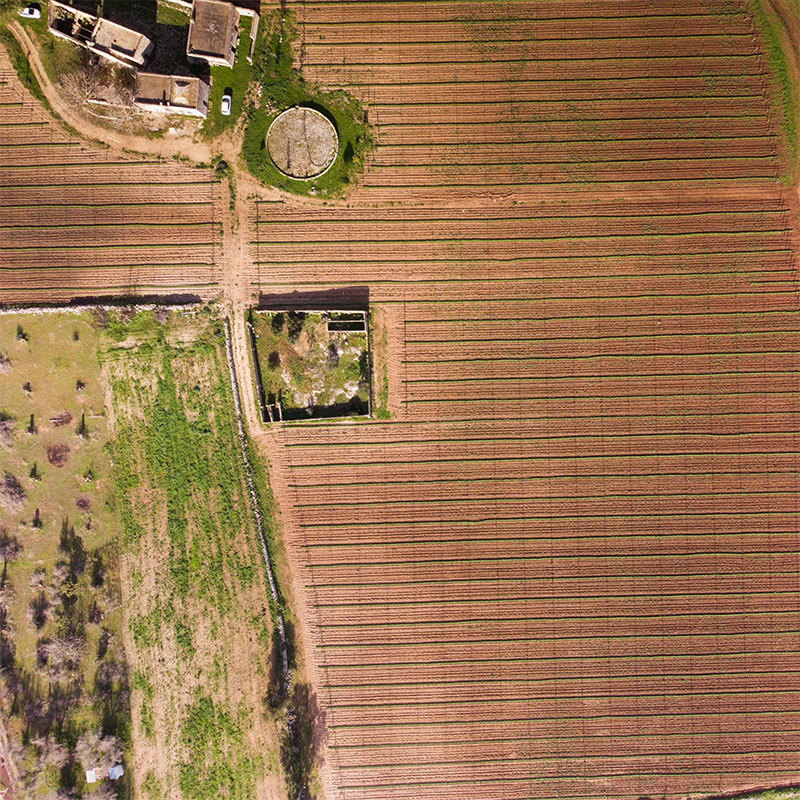 menhir salento wine experience_0006_2